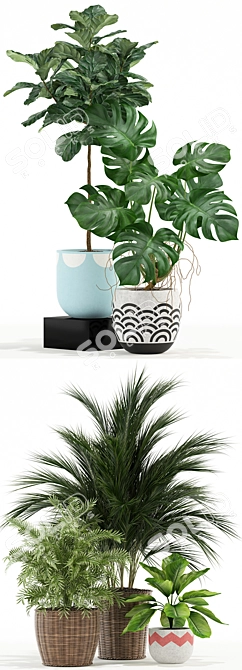 115 Plant Collection: Exquisite Variety for Every Space 3D model image 2