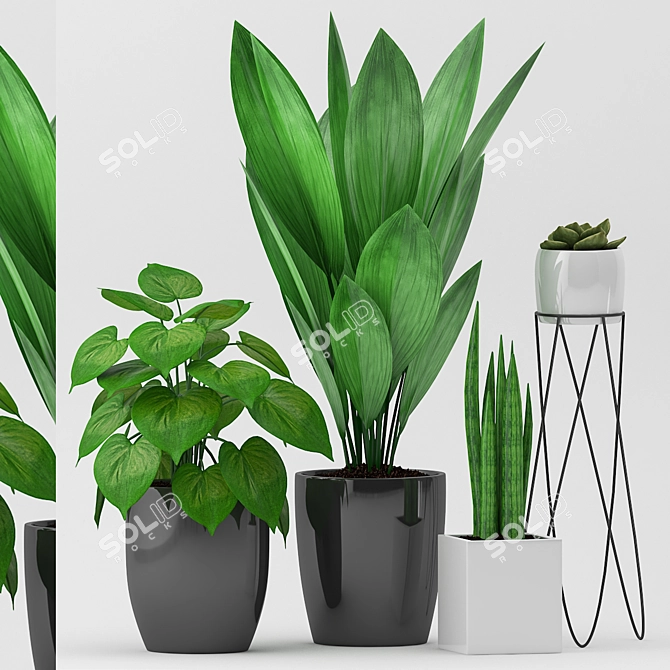 Trendy Green Plant Set 3D model image 1