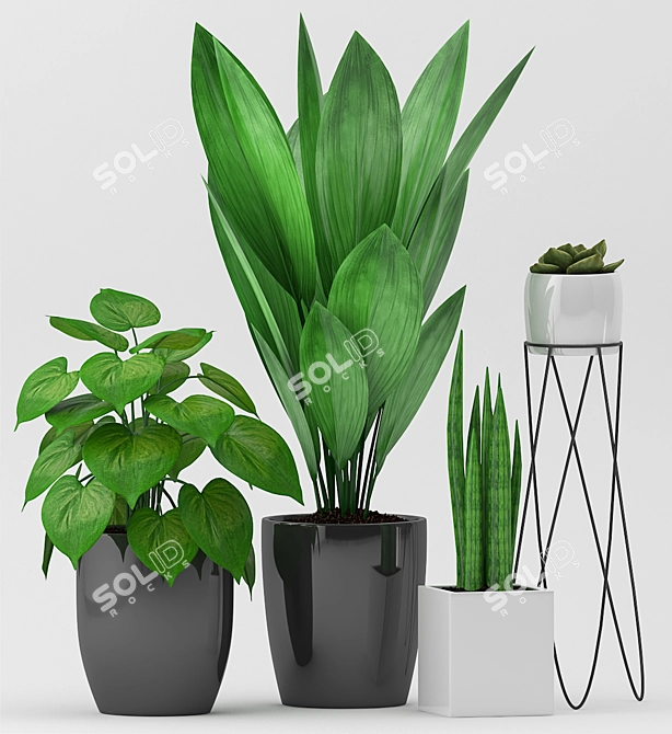 Trendy Green Plant Set 3D model image 2