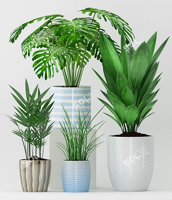 Green Oasis: Aspidistra, Howea, Monstera & Grass 3D model image 2