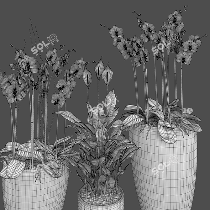 Exotic Beauty: Orchid & Spatiphyllum 3D model image 3