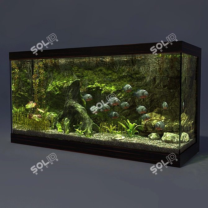 Piranha Aquarium - 1825x620x950mm 3D model image 1