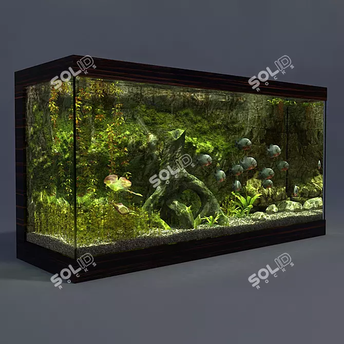 Piranha Aquarium - 1825x620x950mm 3D model image 2