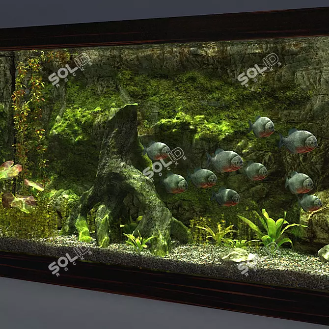 Piranha Aquarium - 1825x620x950mm 3D model image 3