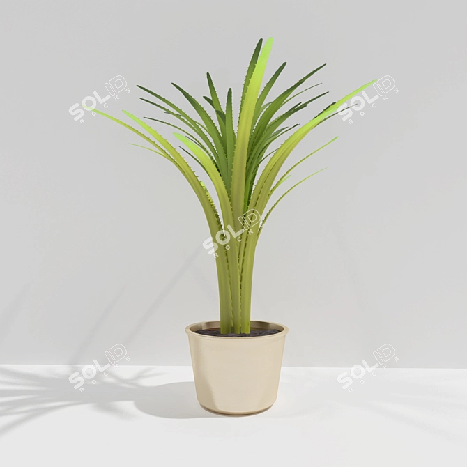 Golden Pot Decorated Plant 3D model image 1