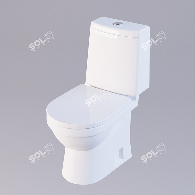 Industrial Chic Toilet Bowl 3D model image 1