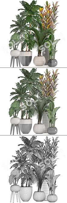 Diverse Indoor Plant Collection 3D model image 3