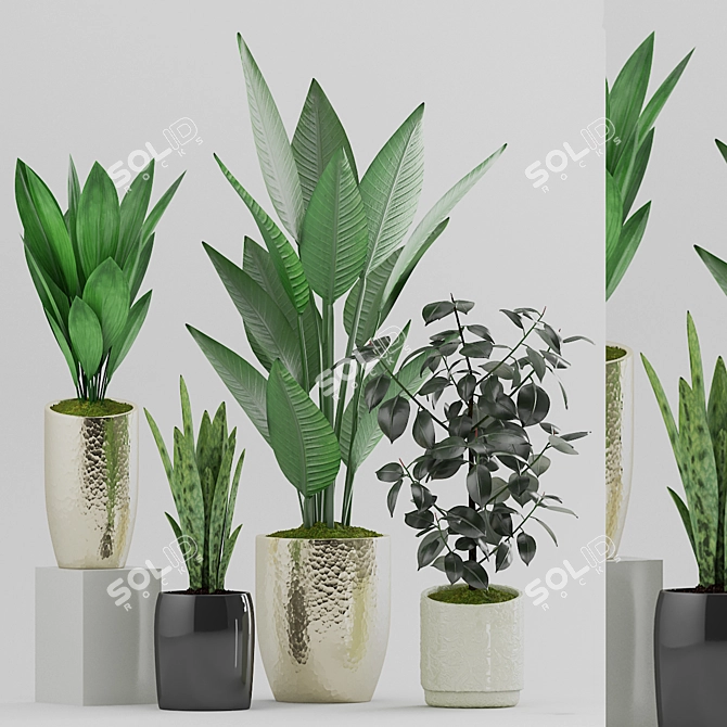 Botanical Plant Set: Black Pot 3D model image 1