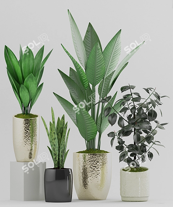 Botanical Plant Set: Black Pot 3D model image 2