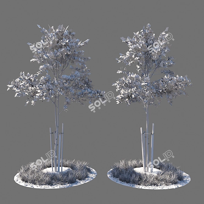  Fresh Sapling Duo 3D model image 2