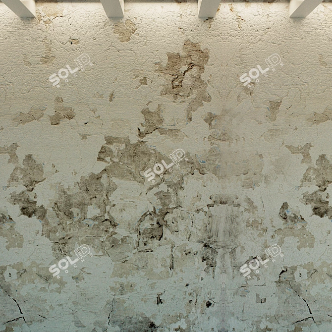Vintage Plaster Wall Texture 3D model image 2