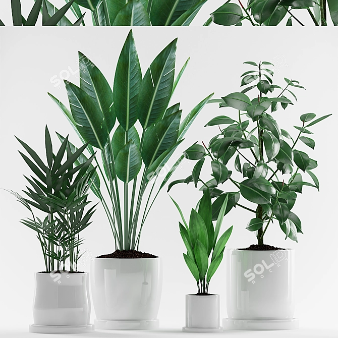 Tropical Plant Trio in White Pot 3D model image 1