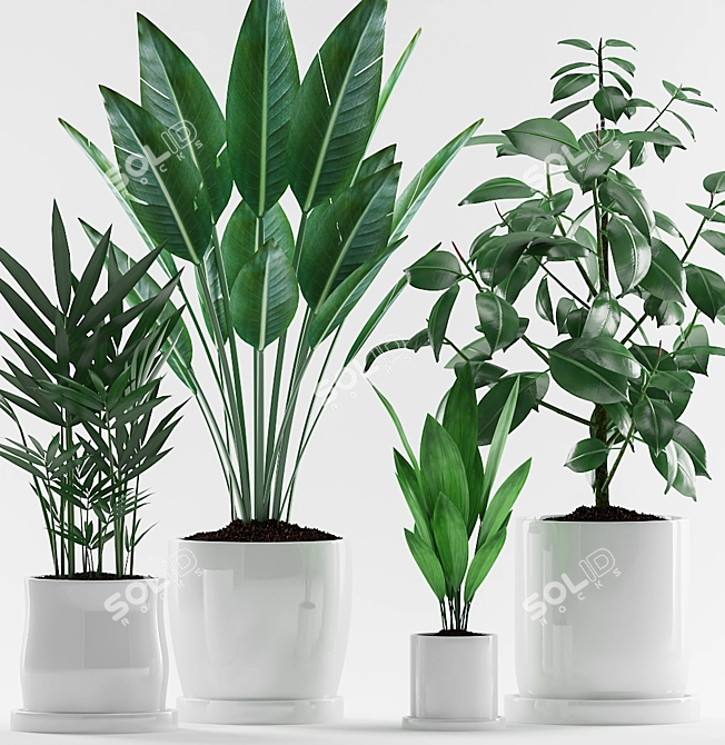 Tropical Plant Trio in White Pot 3D model image 2