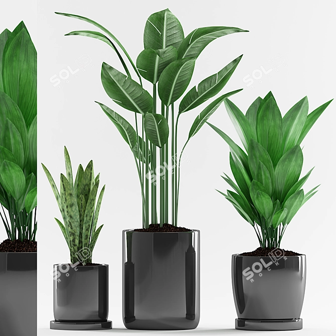 Tropical Trio Potted Plants 3D model image 1