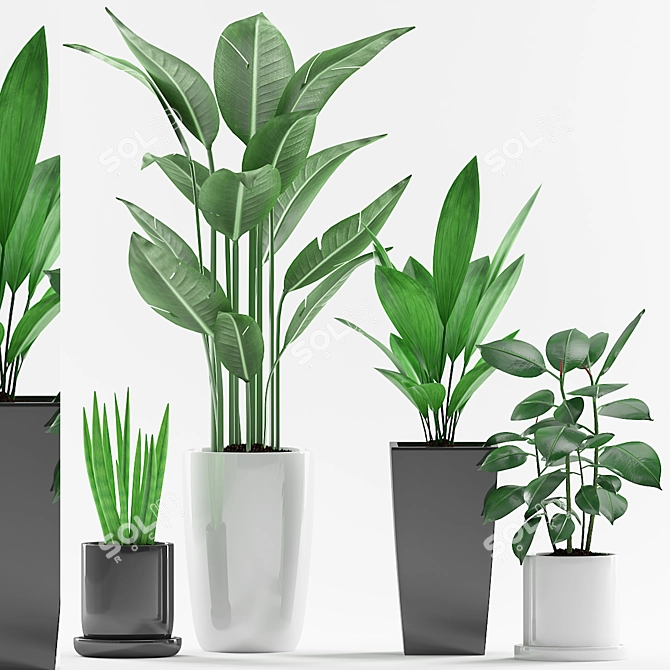 Green Oasis: Aspidistra, Sansevieria, Paradise and Ficus Elastica Plant with Black and Concrete Pot 3D model image 1