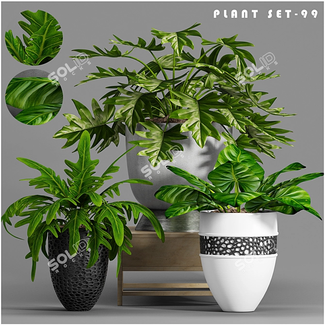 Stylish Plant Decor Set 3D model image 1