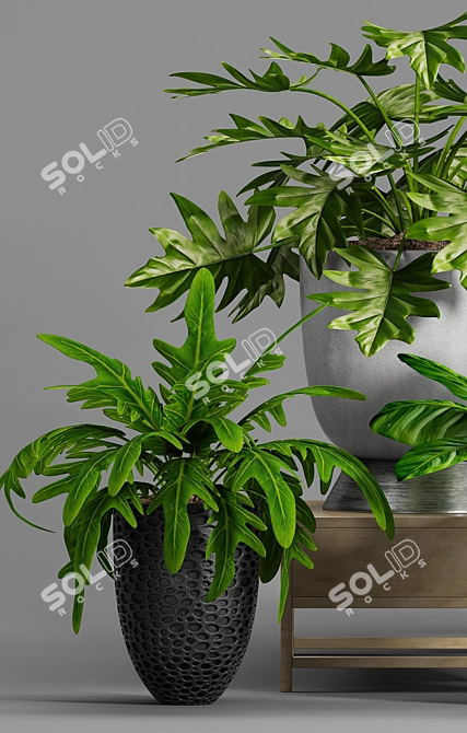 Stylish Plant Decor Set 3D model image 2