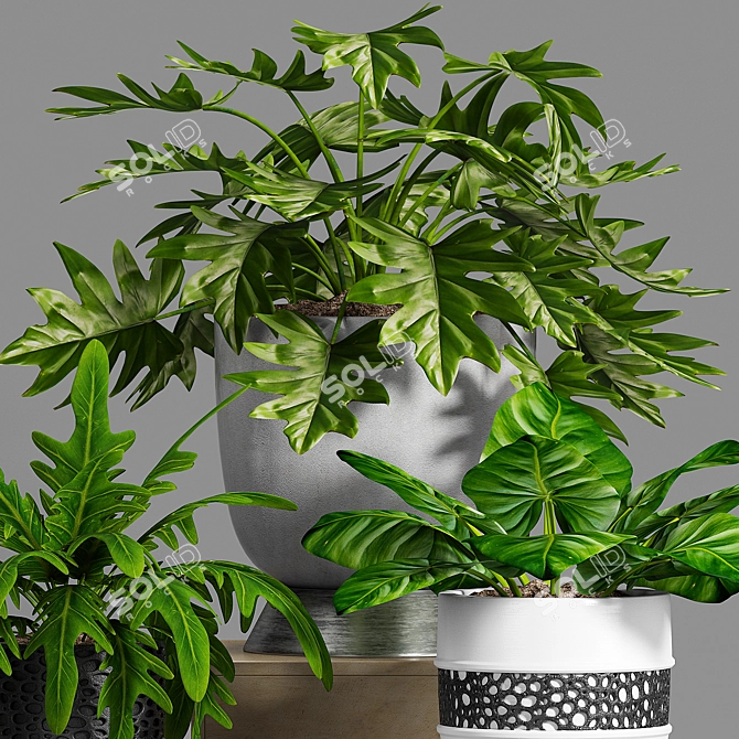 Stylish Plant Decor Set 3D model image 3