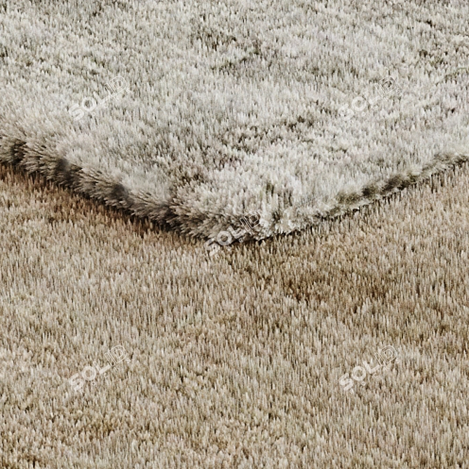 Luxury Fur Patterned Rug 3D model image 3