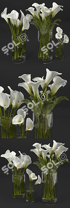 Elegant Calla Lily Bouquets
(Translated from Russian: Элегантные букеты Каллы) 3D model image 2