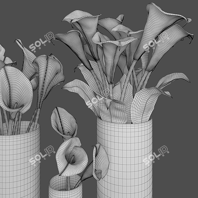 Elegant Calla Lily Bouquets
(Translated from Russian: Элегантные букеты Каллы) 3D model image 3