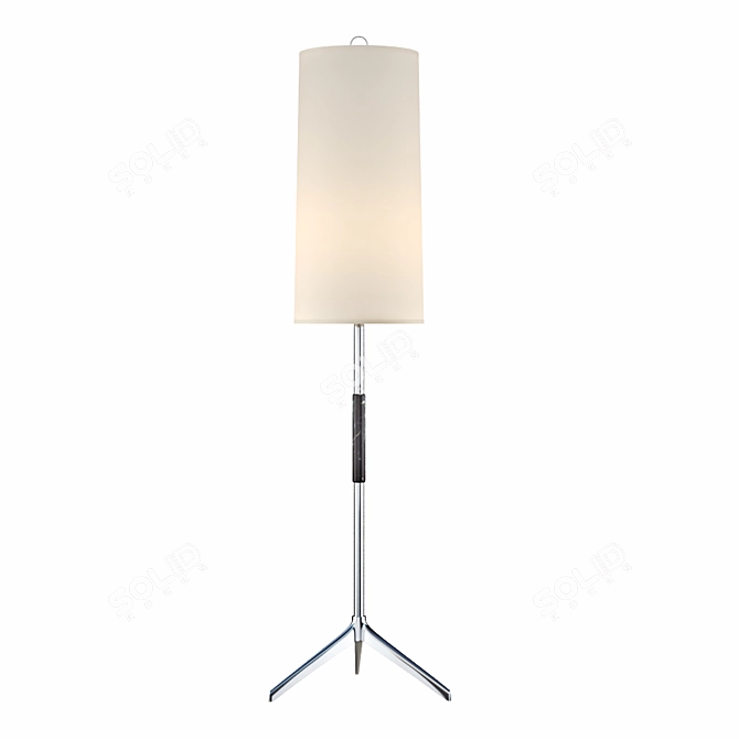Modern Frankfort Floor Lamp: Polished Nickel & Ebony Accents 3D model image 1