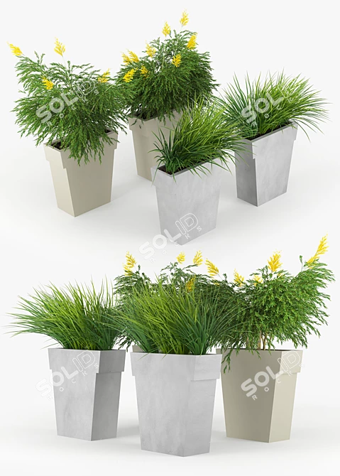 Stylish Outdoor Planter - IL VASO 3D model image 2