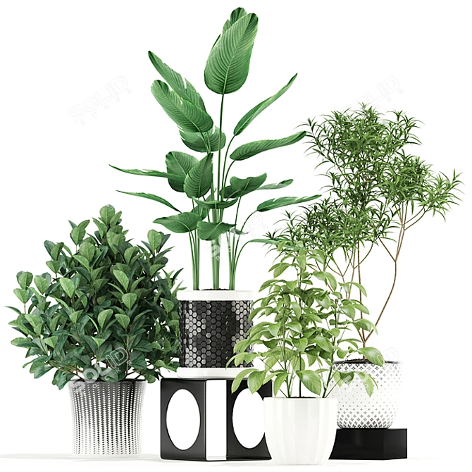 118 Plants Collection: Lush Greenery for Your Space 3D model image 3