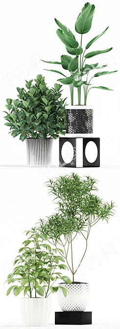 118 Plants Collection: Lush Greenery for Your Space 3D model image 1