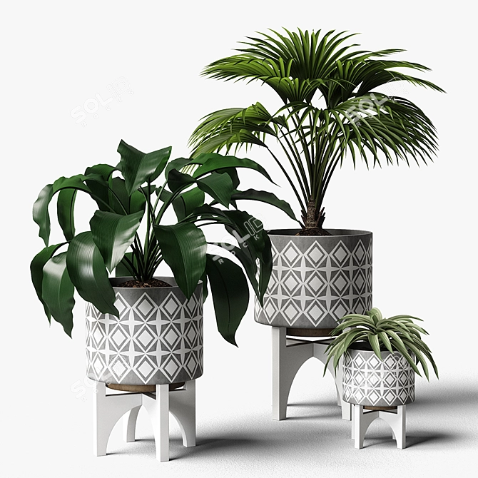 Versatile Plants Set 07: 3D Models for V-Ray and Fstorm 3D model image 1