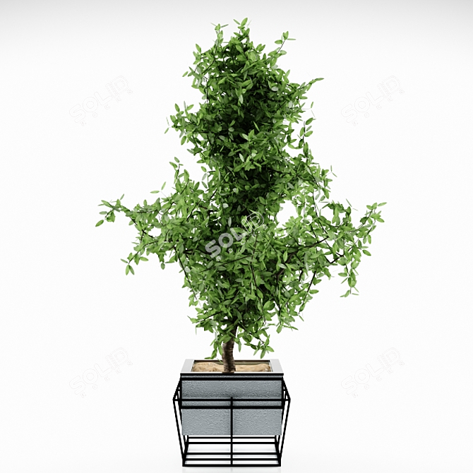 Elegant Plant Pot 3D model image 1