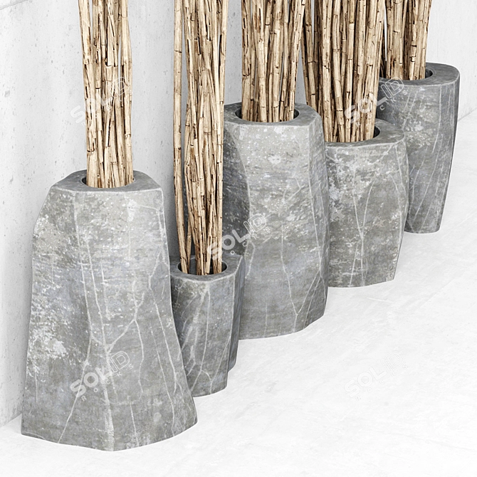 Elegant Branch Vases: Natural Beauty 3D model image 2