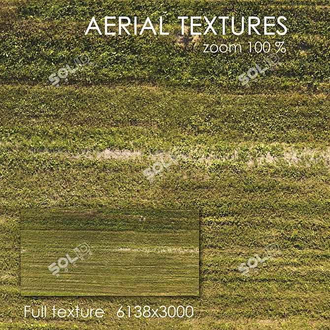 Seamless Aerial Grass Texture 3D model image 1