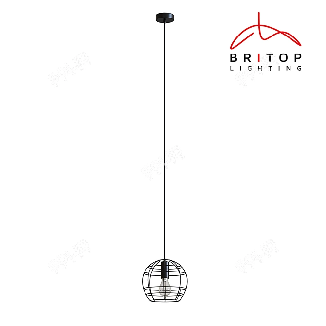 Britop Outline Pendant Light 3D model image 1