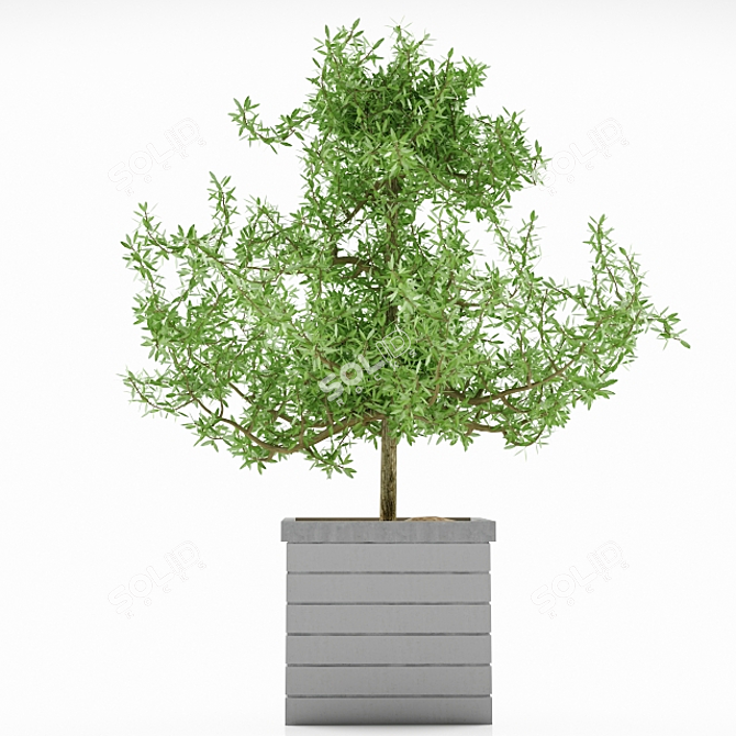 Stylish Plant Stand 3D model image 1