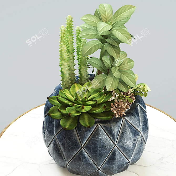Modern Succulent & Cactus Arrangement 3D model image 2