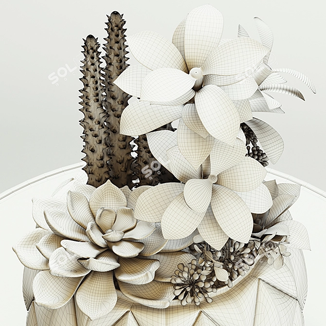 Modern Succulent & Cactus Arrangement 3D model image 3
