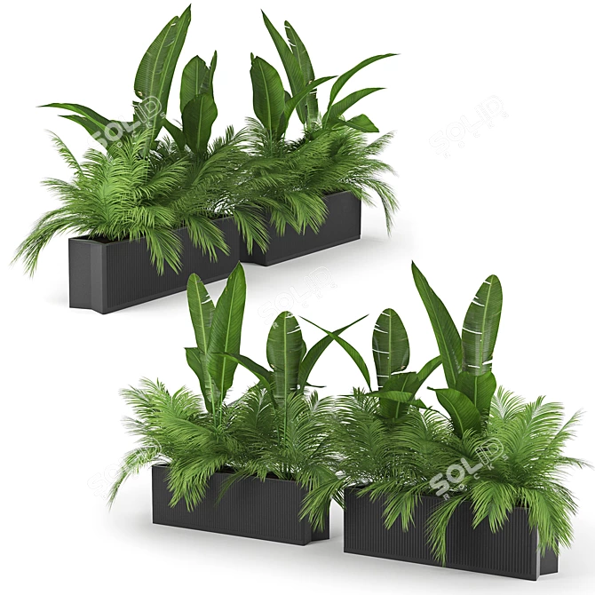 Tropical Palm Plant  Unique 3D Model 3D model image 1