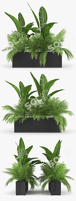 Tropical Palm Plant  Unique 3D Model 3D model image 2