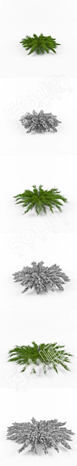 Juniper Horizontal Collection 3D model image 2