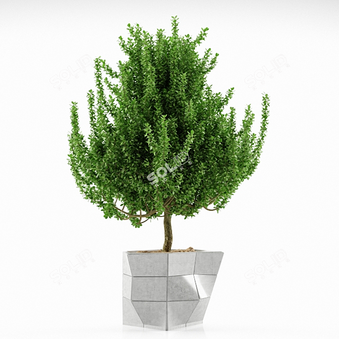 Elegant Decorative Planter 3D model image 1