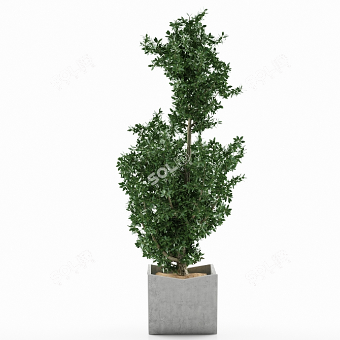 Botanical Bliss: Gorgeous Plant Decor 3D model image 1