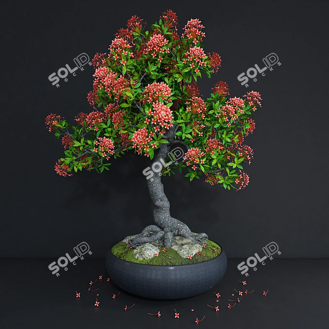 High-performance Ixora coccinea 3D model image 1