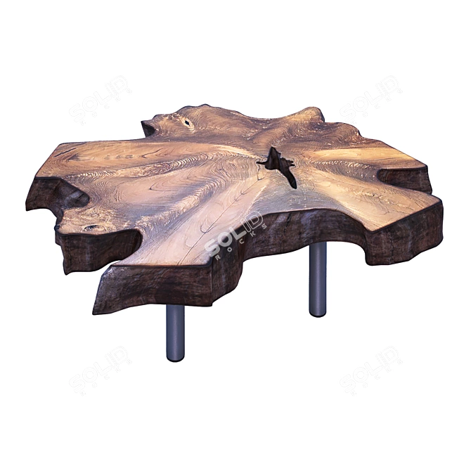 Rustic Root Coffee Table 3D model image 1
