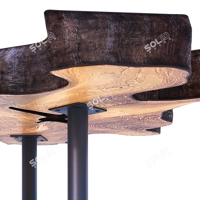 Rustic Root Coffee Table 3D model image 2