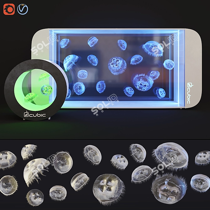 Title: Moon Jellyfish Aquarium Kit 3D model image 1