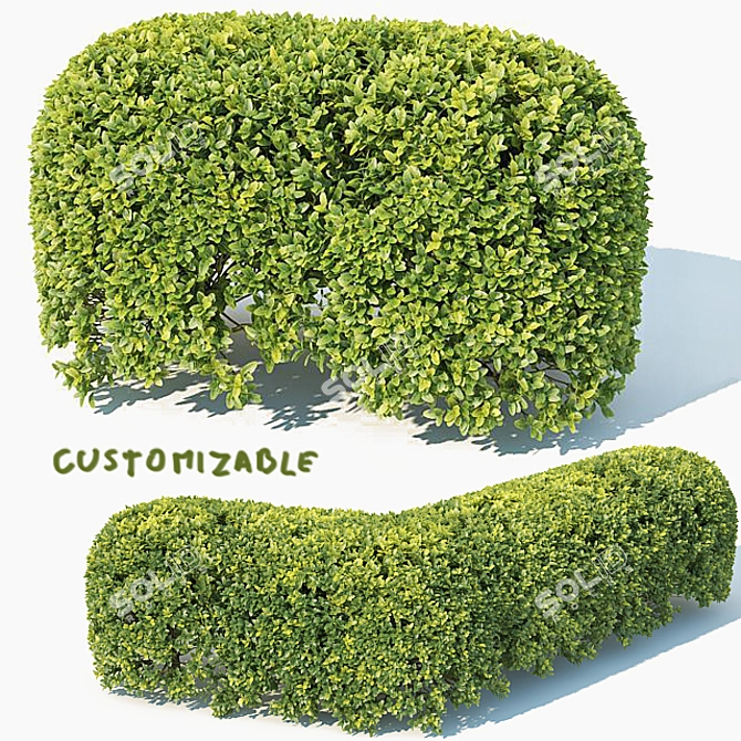 Evergreen Spherical Hedge Module 3D model image 1