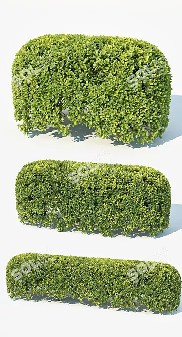 Evergreen Spherical Hedge Module 3D model image 2