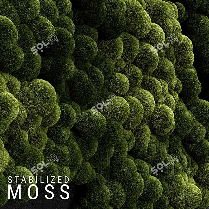 Natural Moss Wall Panel 3D model image 1