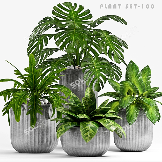 Vintage Planter Set - 100 3D model image 1